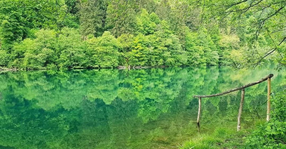 Апартаменти Casa Bosco Левіко-Терме Екстер'єр фото